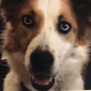 Meet your Posher, Marianne